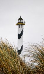 Long Nelle Shipping investments